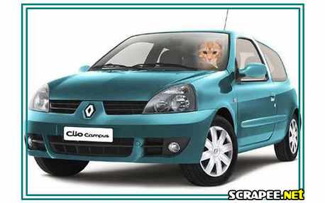 Moldura - Clio Campus