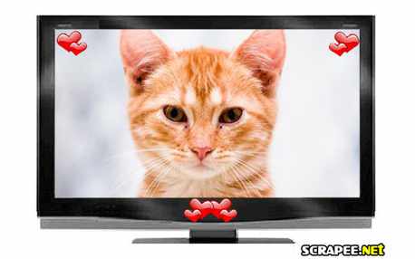 Moldura - Tv Tela Plana