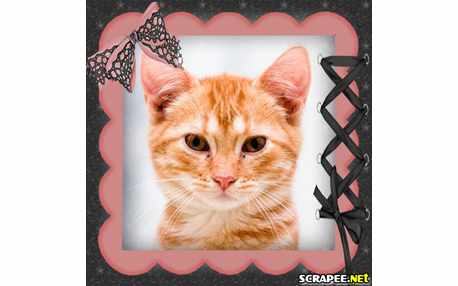 Moldura - Borda Para Foto