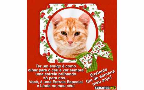 Moldura - Moldura Vermelha