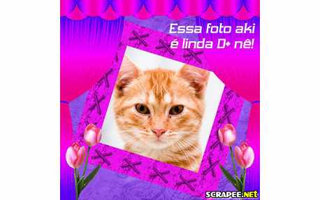 Moldura - Lindo Demais