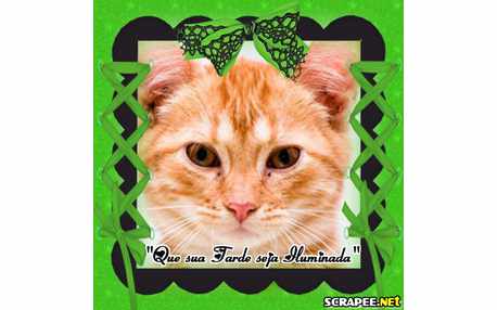 Moldura - Tarde Iluminada