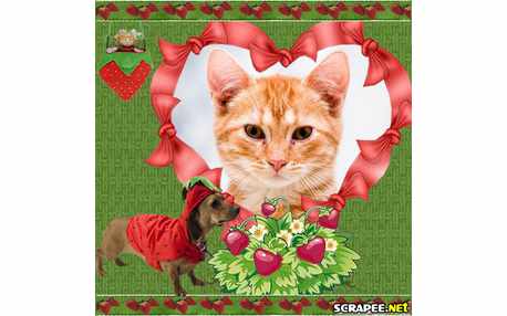 Moldura - Cao De Ropa