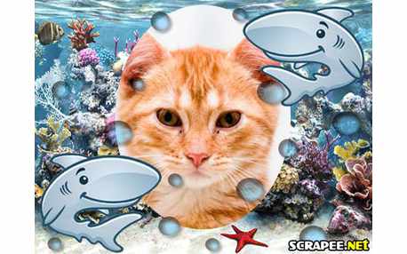 Moldura - Fundo Do Mar