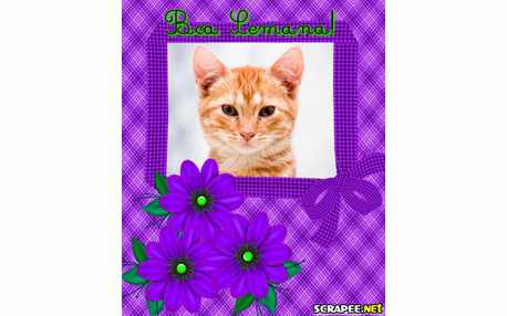 Moldura - Moldura Xadrez