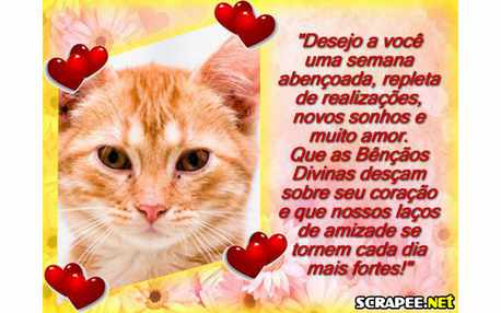 Moldura - Semana Abencoada