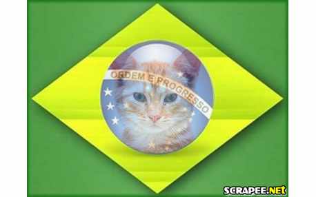 Moldura - Bandeira Do Brasil