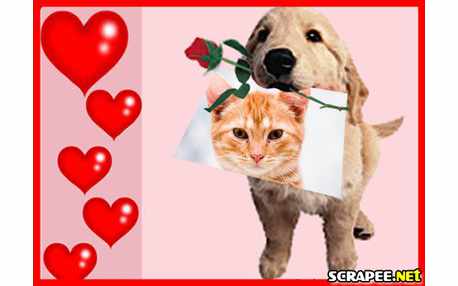 Moldura - Cao Carregando Foto