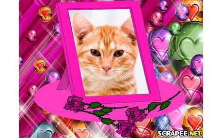 Moldura - Porta Retrato Pink