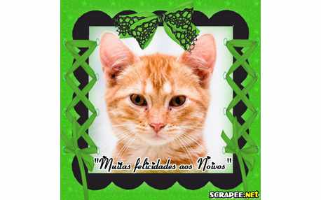 Moldura - Felicidades Aos Noivos