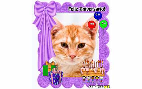 Moldura - Feliz Aniversario