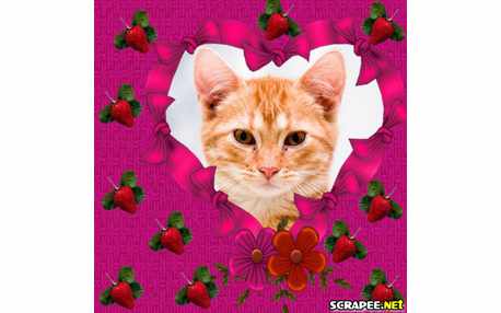 Moldura - Moranguinhos