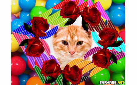 Moldura - Piscina De Bolinhas