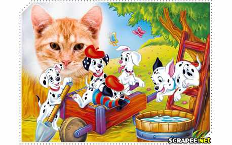 Moldura - Dalmatas 101