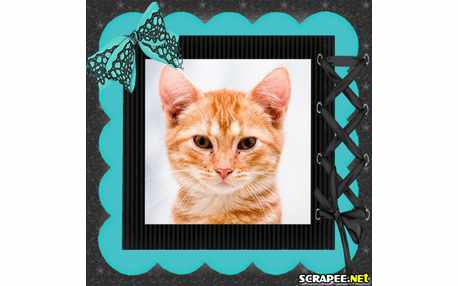 Moldura - Moldura Azul