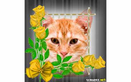 Moldura - Botoes Amarelos