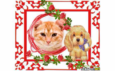 Moldura - Caozinho Garoto