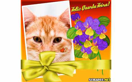 Moldura - Laco Para Fotos