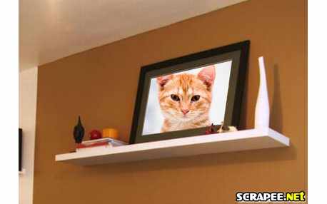 Moldura - Quadrinho De Prateleira