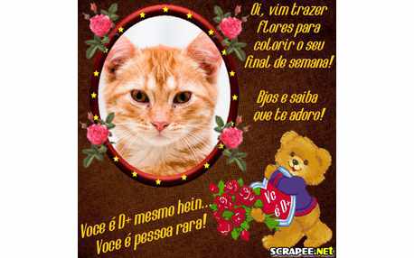 Moldura - Flores Virtuais