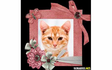 Moldura - Moldura De Foto