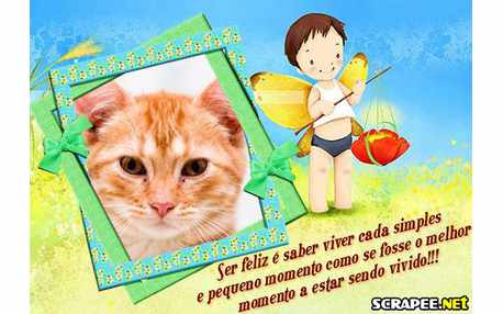 Moldura - Saber Viver