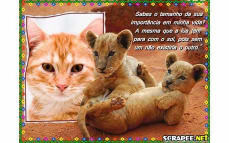 Moldura - Filhote De Onca