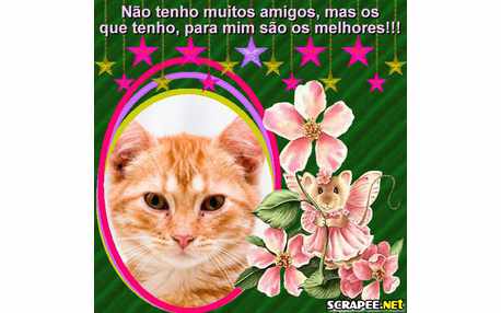 Moldura - Melhores Amigos