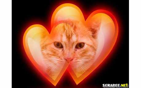 Moldura - Coracao De Fogo