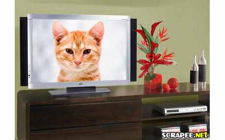 Moldura - Tv De Plasma