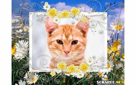 Moldura - Grande Jardim