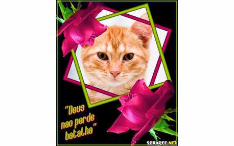 Moldura - Deus Nunca Perdeu