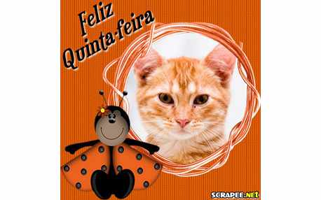 Moldura - Joaninha Marron