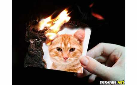 Moldura - Pegando Fogo