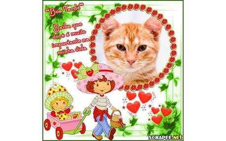 Moldura - Importante