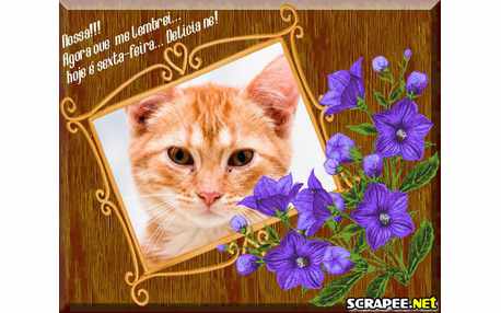 Moldura - Muitas Flores