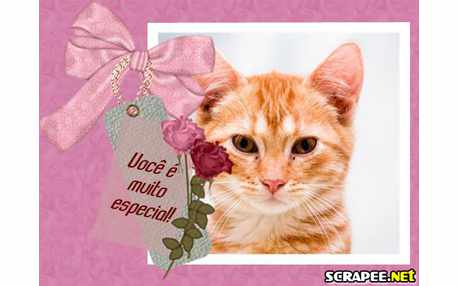 Moldura - Foto Com Laco