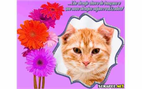 Moldura - Chuva De Bencaos