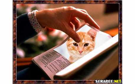 Moldura - Foto No Livro