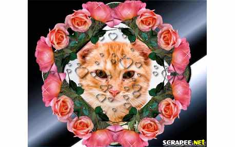 Moldura - Rosa Salmon