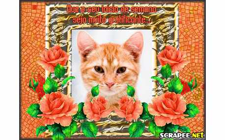 Moldura - Semana Irradiante