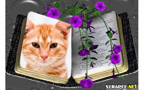 Moldura - Sua Foto No Livro