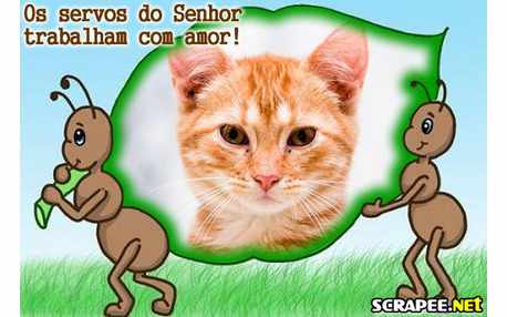 Moldura - Servos Do Senhor