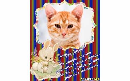 Moldura - Amigos Sao Necessarios