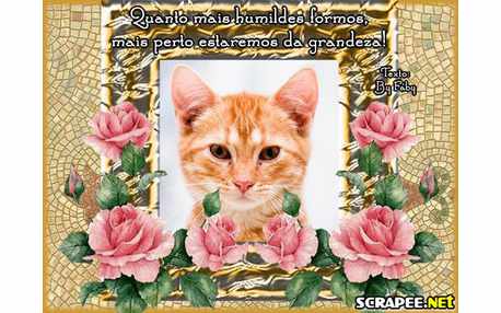 Moldura - Significado Da Humildade