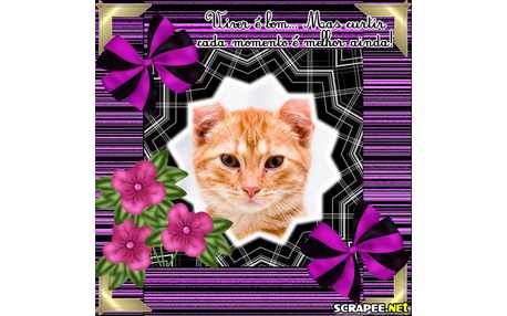 Moldura - Aproveitando Bem 