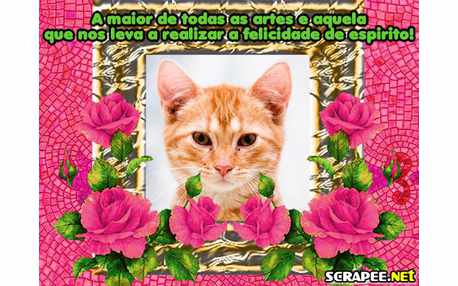 Moldura - Maior Arte