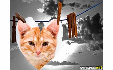 Moldura - Coracao No Varal