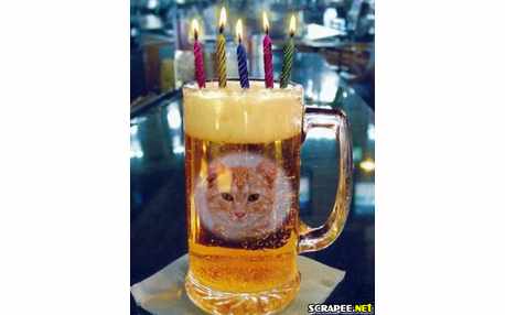 Moldura - Uma Cerveja