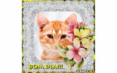 Moldura - Foto Com Renda